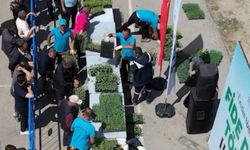 Çubuk’ta 1 milyon sebze fidesi çiftçilerle buluştu