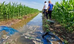 Tarlaya sulama yapmaya giden kişi ölü olarak bulundu