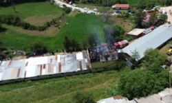 Tavuk çiftliğinde korkutan yangın: Binlerce hayvan son anda kurtarıldı
