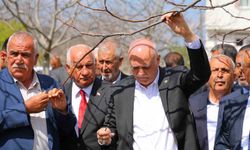 TZOB Başkanı Bayraktar duyurdu: Don 65 ildeki meyve bahçelerini etkiledi