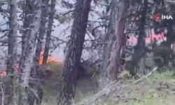 Ankara'da korkutan orman yangını
