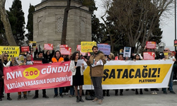 Hayvanların yaşam hakkı için Yaşatacağız Platformu Ankara’da!