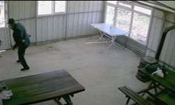Yaşlı adam köy kahvesindeki köpeği bastonla dakikalarca dövdü