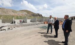 Yenimahalle Belediye Başkanı Yaşar, sokak hayvanları için sahada