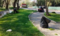 Yenimahalle’de yeşil alanlara bahar dokunuşu