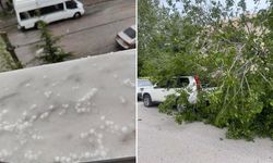 Dolu fırtınası Başkenti vurdu! Şiddetli rüzgar ağaç devirdi