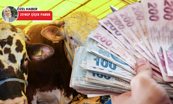 10 yılda 25 kat arttı! Ankara'da kurbanlık almak lüks oldu