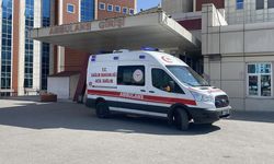 Acemi kasaplar hastanelik oldu!