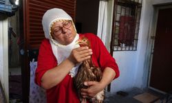 Ağlayan tavuğunu kesmeye kıyamayan kadın, tedavi için yardım bekliyor!