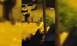 Ankara'da, domuz sürüsü şehir merkezine indi!