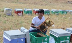 Arılarla kurduğu bağ herkesi hayrete düşürüyor