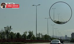 Gündüz yanan sokak lambaları dikkatli gözlerden kaçmadı