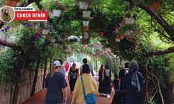 Atatürk Botanik Parkı'na Keçiörenlilerden yoğun ilgi