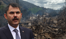 Bakan Kurum, Bilecik yangınındaki acı bilançoyu açıkladı!