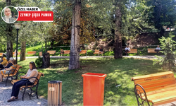 Başkentliler serinlemek için Kuğulu Park’ı tercih ediyor