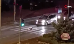 Beypazarı’nda kazlar yaya geçidinden geçti