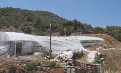 Çıkan hortum seralara zarar verdi!