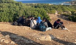 Aydın’ın Didim ilçesinde 8 düzensiz göçmen yakalandı