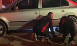 Farklı noktalarda kedi kurtarma operasyonu