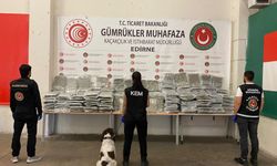 Gümrükler Muhafaza ekipleri kaçakçılıkla mücadele çalışmalarını aralıksız sürdürüyor
