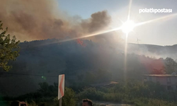 Hatay Belen'de orman yangını