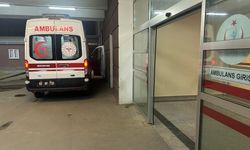 Kadınların karıştığı kavgada 7 kişi yaralandı!