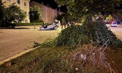 Otomobil ağaca çarpıp ters döndü: Yaralılar var