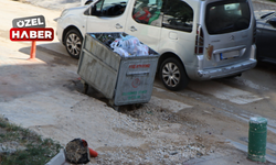 Kazıldı, kapatıldı, öylece bırakıldı