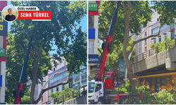 Kızılay’da ağaçlar kesildi: Tepki de var, memnuniyet de