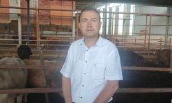 Kurbanlık dananın fotoğrafını çekerken canından oldu
