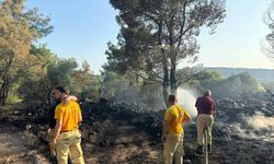 Mangal yakarken orman yangınına sebep olan şahıs cezaevinde!