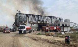 Pamuk fabrikası deposunda yangın! Çok sayıda ekip müdahale ediyor