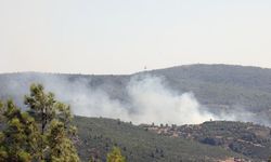 Tarım arazisinde başlayan yangın ormana sıçradı!