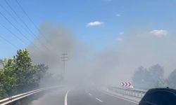Otluk alanda çıkan yangın, kara yolunu sardı!