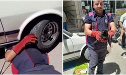 Otomobilin motoruna sıkışan yavru kediyi i̇tfaiye kurtardı