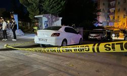 Park halindeki araç kurşunların odağı oldu!