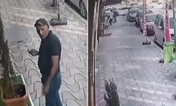 Polatlı’da hayvan şiddetine vatandaş müdahalesi! O anlar kamerada