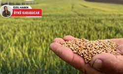 Polatlı Ticaret Borsası'nda mayıs verileri açıklandı: İşlem hacminde sert düşüş!
