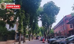 Ankara'nın en işlek noktalarından biri anıt ağaçlarla çevrili