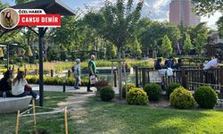 Ankara'nın merkezinde saklı bahçe: Gençlerin gözdesi oldu