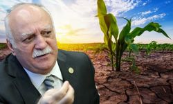 Tarımda alarm zilleri: Kuraklık ve afetler üreticiyi vurdu