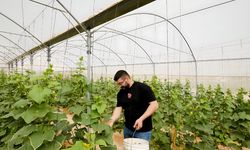 TİKA'dan Filistin'e üretim tesisleri
