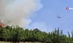 Bursa'da orman yangını başladı