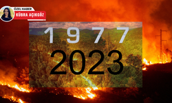 1977’den 2023’e Türkiye’nin yangın karnesi: En fazla yangın hangi yılda çıktı?