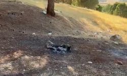Söndürülmeyen piknik ateşi yangın tehlikesi yarattı