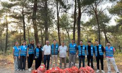 AK Partili gençler ormanlık alanları temizledi