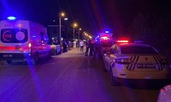 Kan donduran olay: Yeğenlerini acımadan katletti