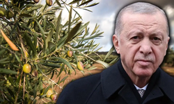 Ankara Barosundan Erdoğan’a çağrı: TBMM’ye iade edin!