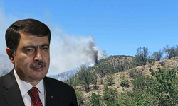 Ankara Valisi Şahin'den, Eymir Gölü yakınlarındaki yangına dair açıklama