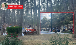 Ankaralıların piknik sevdasına kenelerde engel olamadı